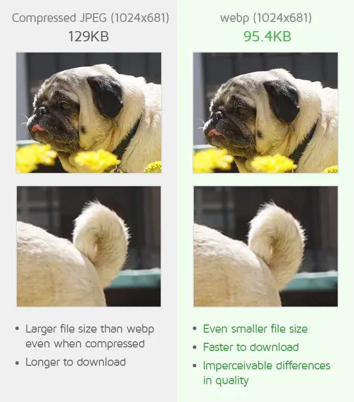 webp-vs-jpeg